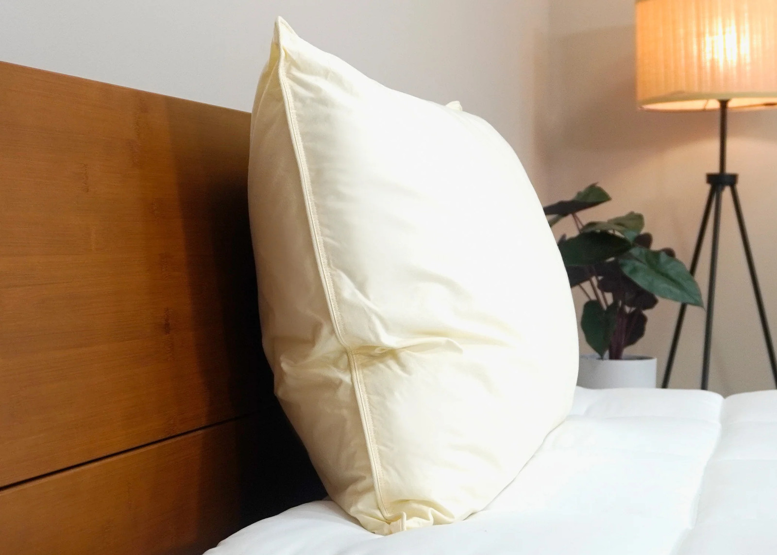 Down Etc. Aquaplush Pillow