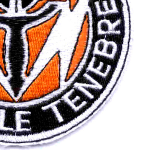 112Th Signal Airborne Battalion Patch