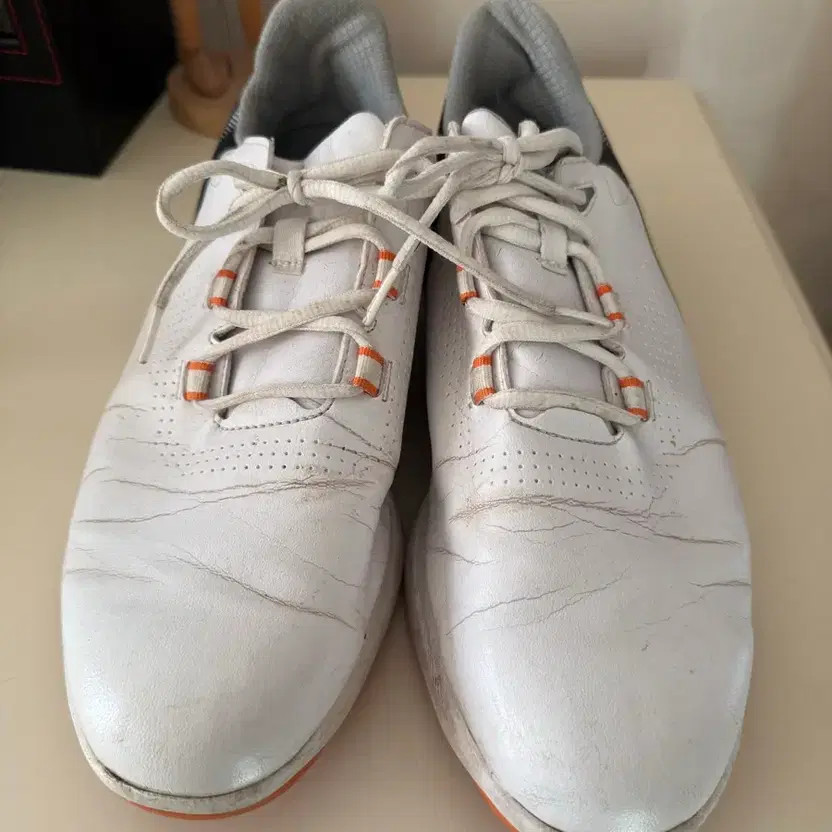 Fjord Golf Shoes Size 270 Lightly Used