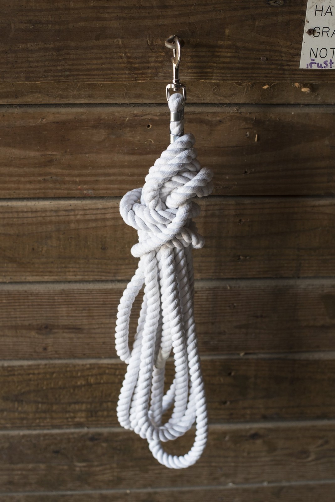 Lunge Line Rope