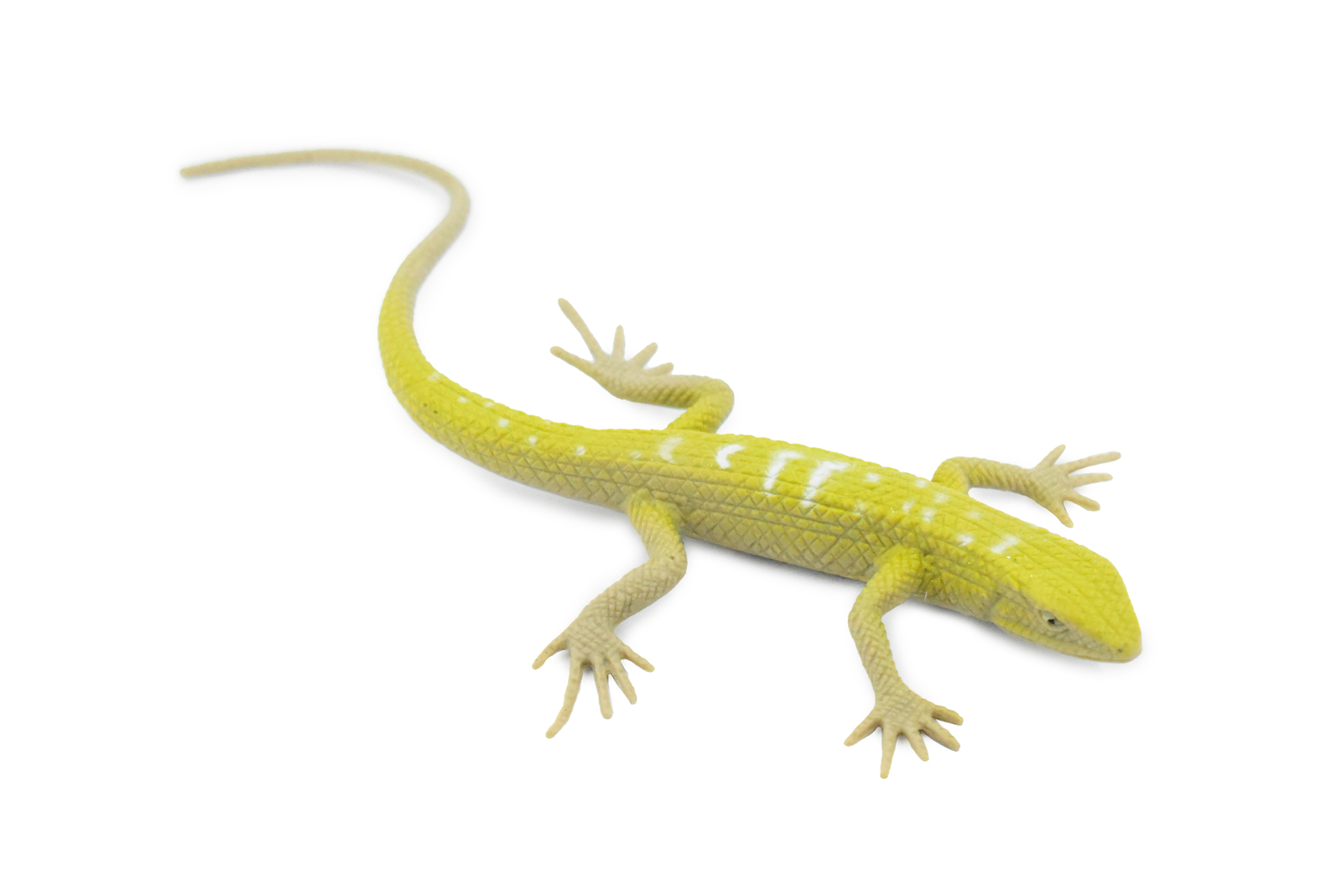 Southern Alligator Lizard, Reptile Toy, Realistic Figure, Model, 5" F6107 B381