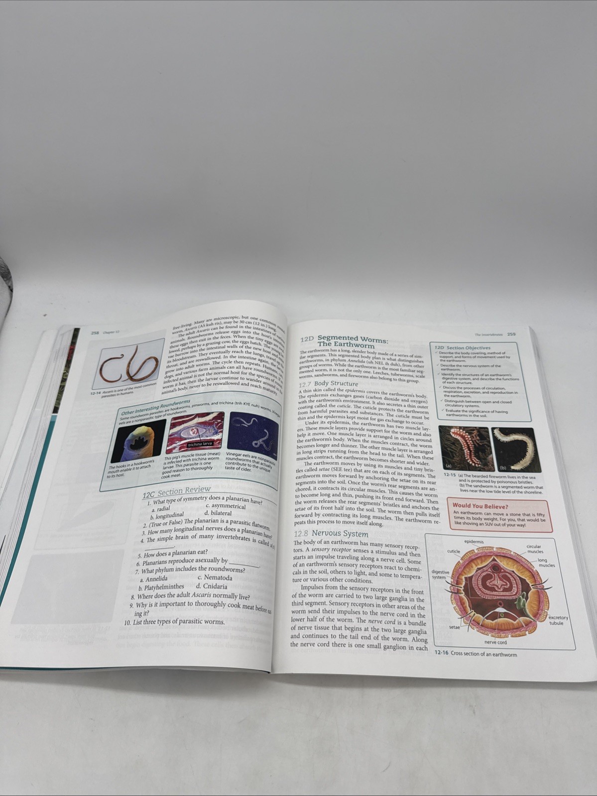 Bob Jones Life Science Student Text & Lab Manual (4th Edition) 7th Grade