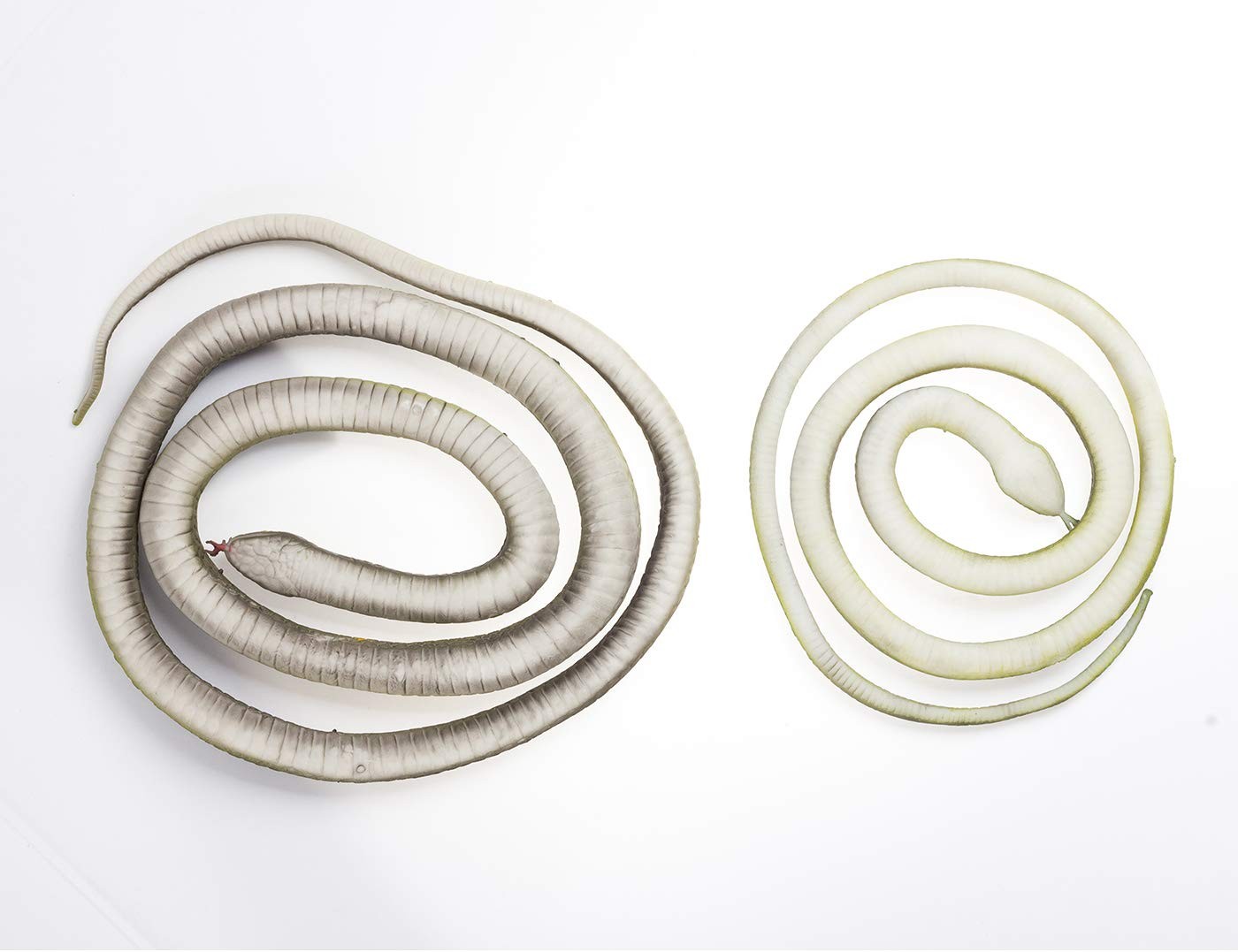 3-Pack Ultra-Realistic Rubber Snakes for Halloween Decorations, L, Black
