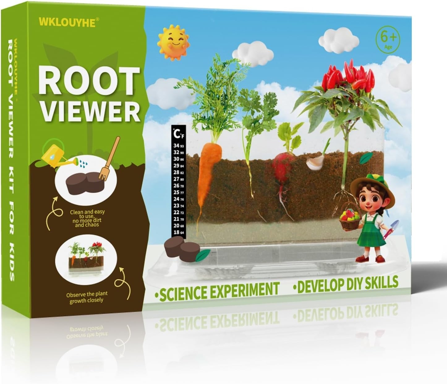 "Root Viewer Kit for Kids with 6 Seed Varieties - STEM Science Kits Kids... "