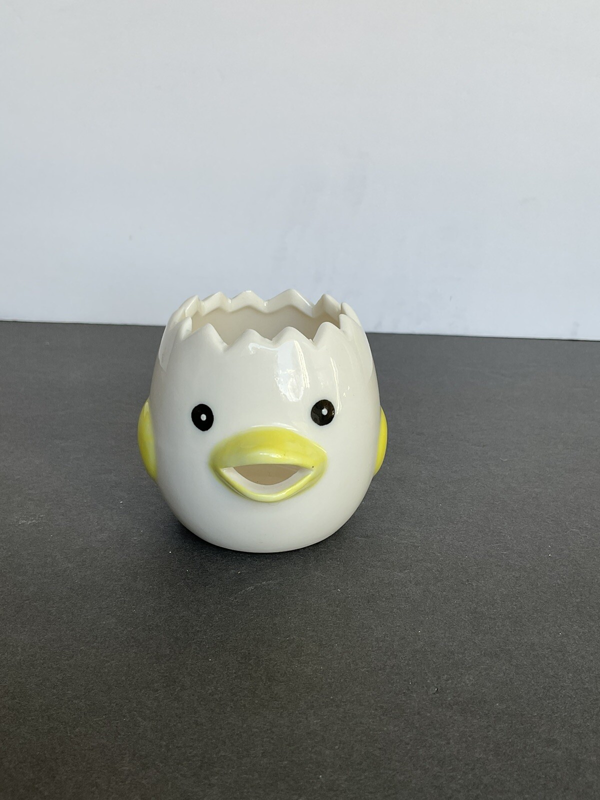 ADORABLE CERAMIC CRACKED EGG CHICK SUCCULENT/FLOWER PLANTER