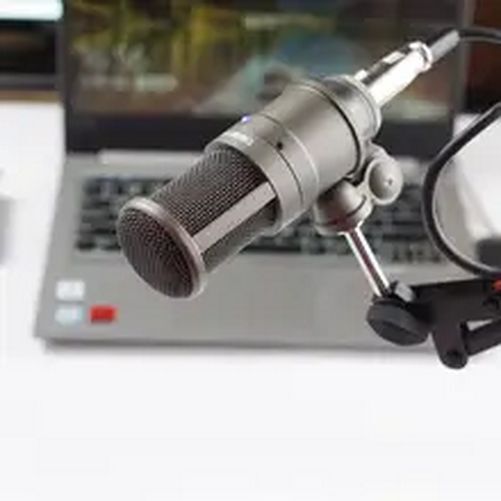 Studio Microphone/Recording Microphone, Condenser Microphone with Windpr