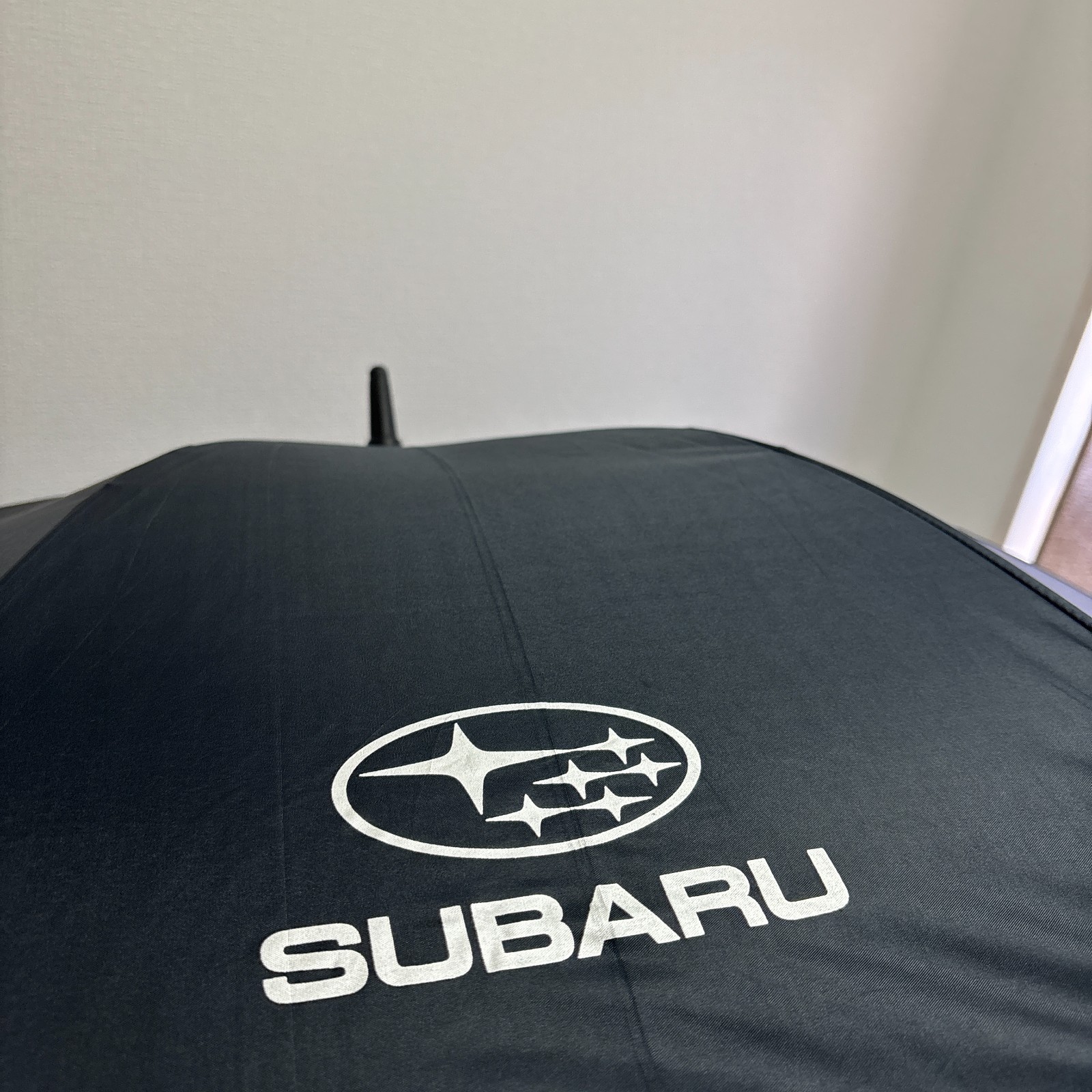 SUBARU Umbrella SUBARU Fully Automatic Umbrella 8 Parent Fold Import 120cm