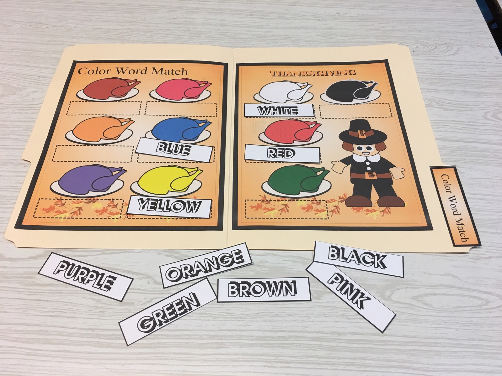 Thanksgiving - 5 File Folder Set - Activity Set - Teaching -