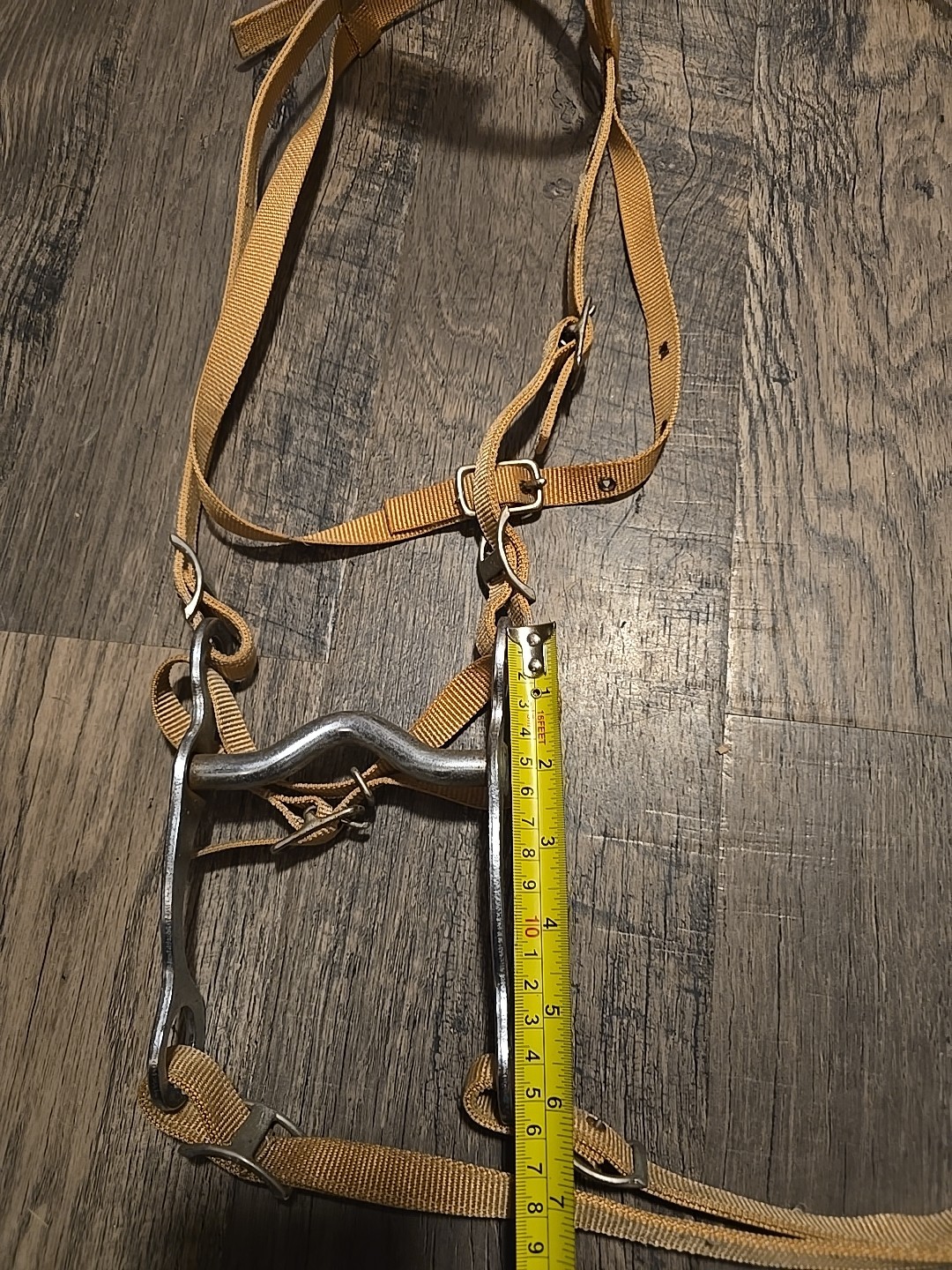 western bridle