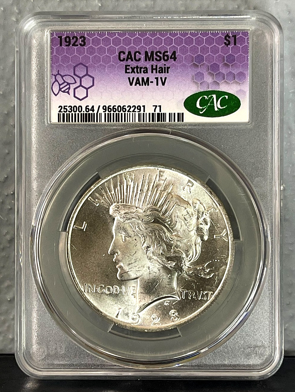 1923-P Peace Silver Dollar CAC MS64 VAM-1V Extra Hair - Absolutely STUNNING!