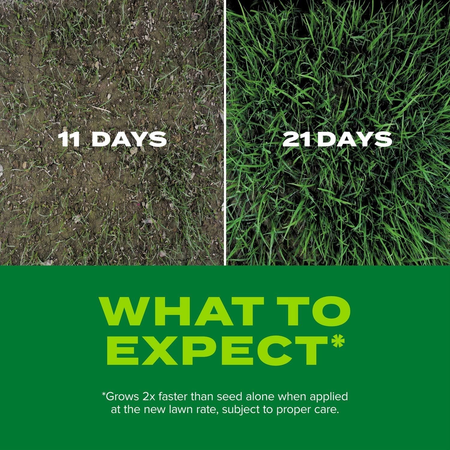 Scotts Turf Builder 5.6 lbs. Rapid Grass Tall Fescue Mix Combination Seed