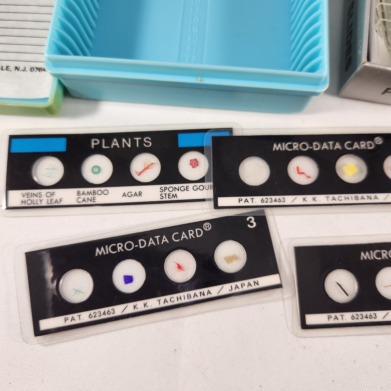 Vintage Micro-Data Specimen Cards for Microscopes & Glass Slides