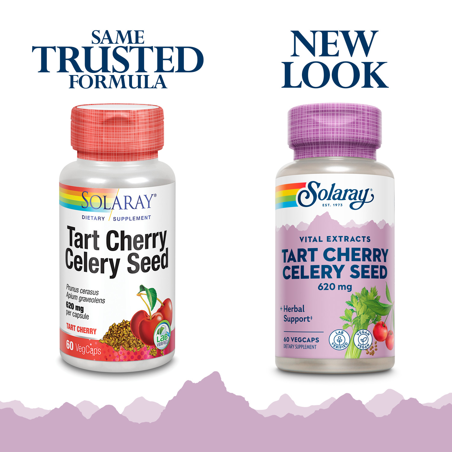 Solaray Tart Cherry & Celery Seed | 60 VegCaps