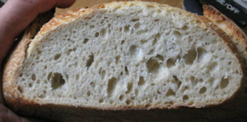 SAN FRANCISCO SOURDOUGH bread YEAST TANGY SOUR STARTER flour baking  "sally"BEST