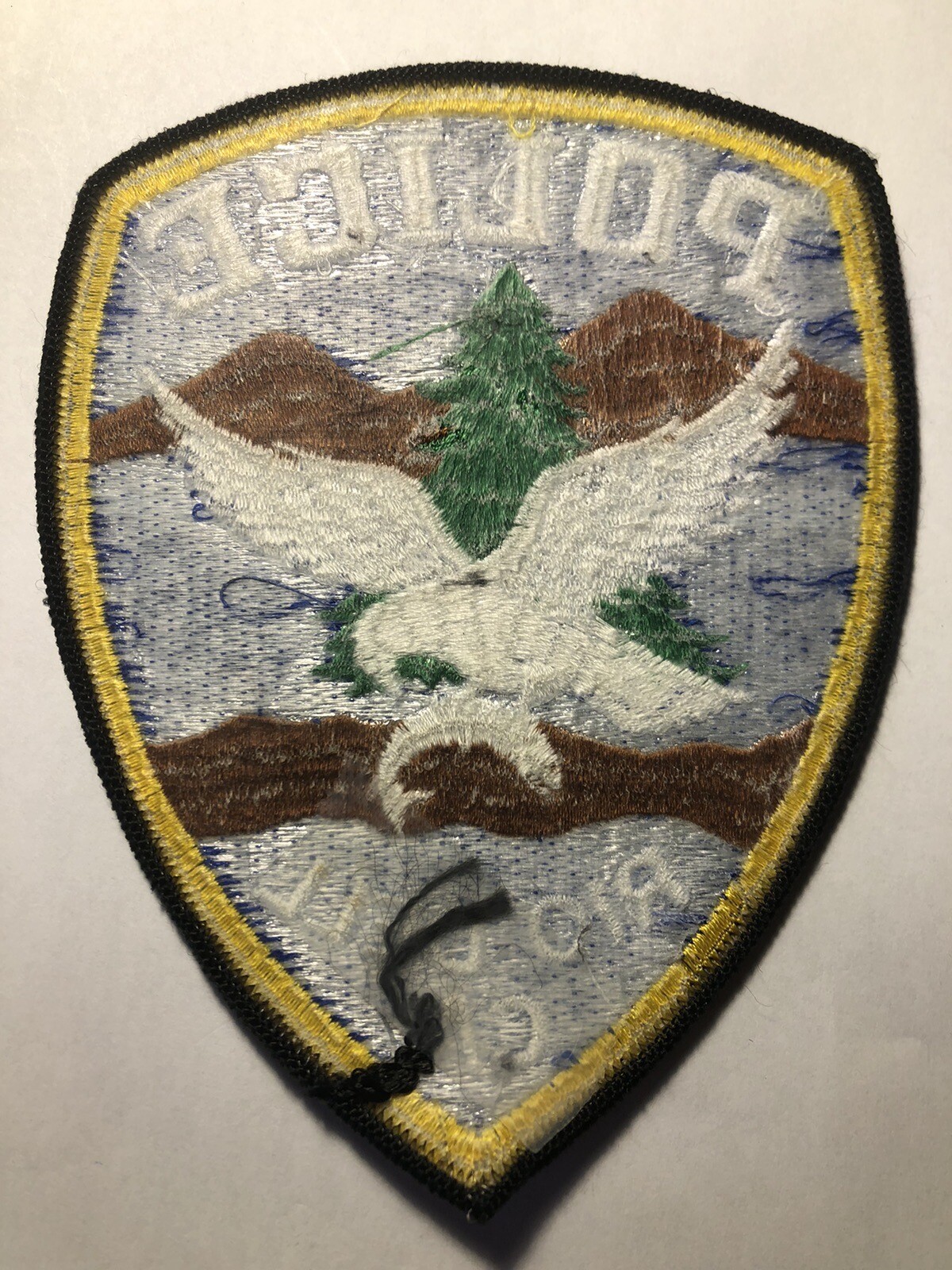 Rio Dell California Police Patch