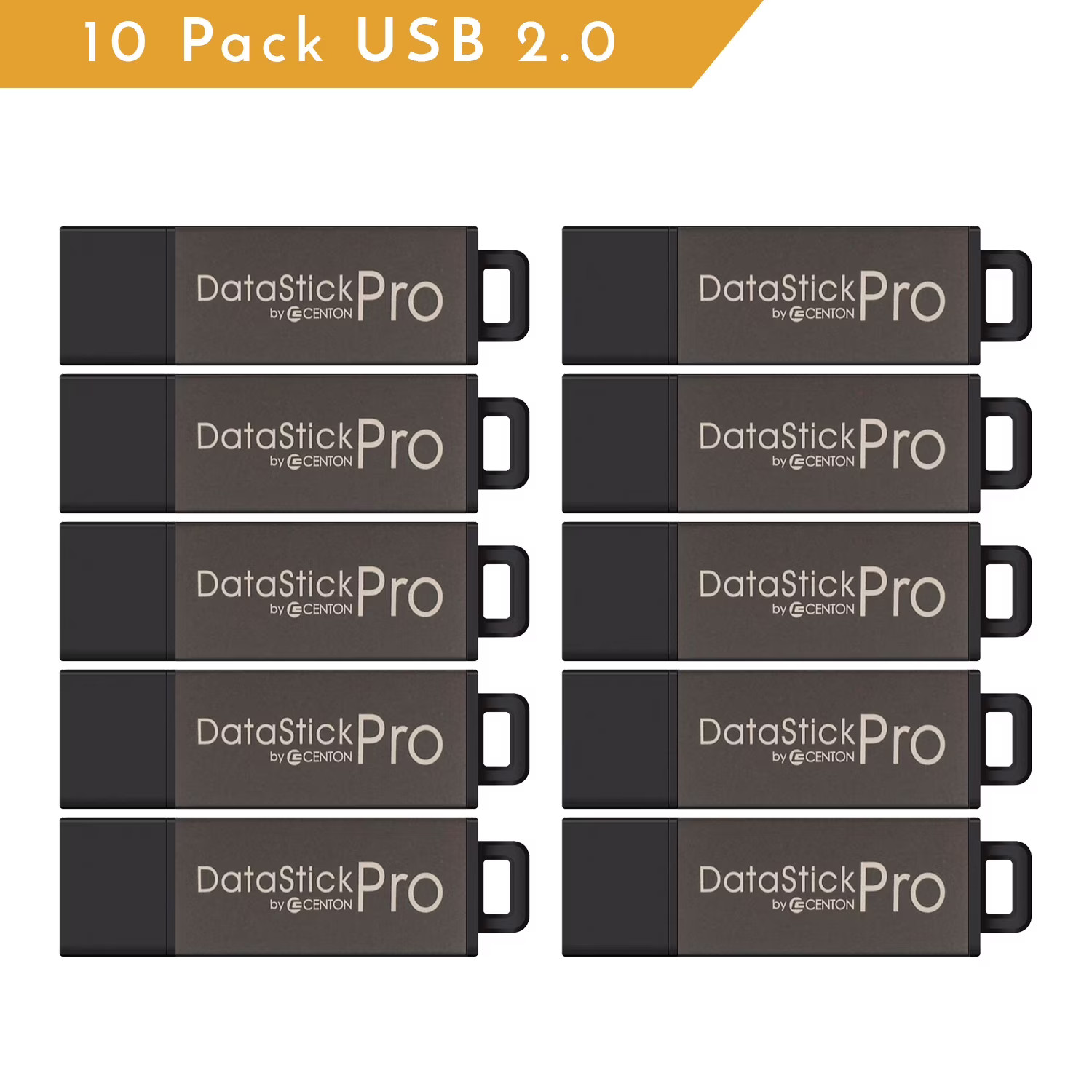 DataStick Pro USB 2.0 Type A Flash Drive 16 GB Gray 10/Pack DSP16GB10PK
