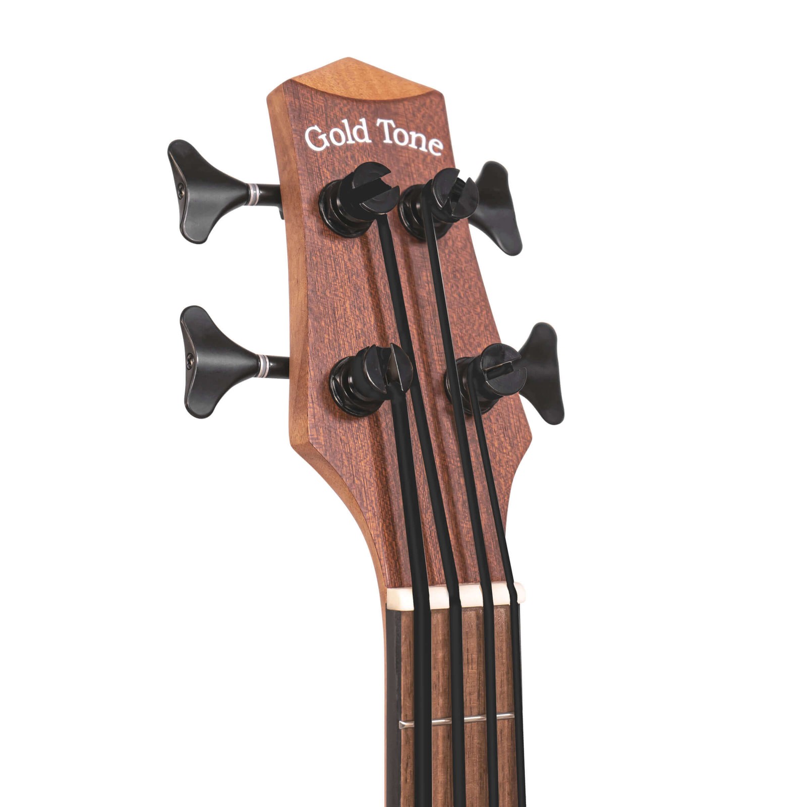 Gold Tone M-Bass25FL | New | Authorized Dealer