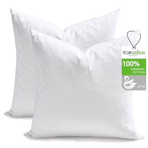 Feather Down Throw Pillow Inserts 20 x 20x20 Inch(Pack of 2) White(pack of 2)