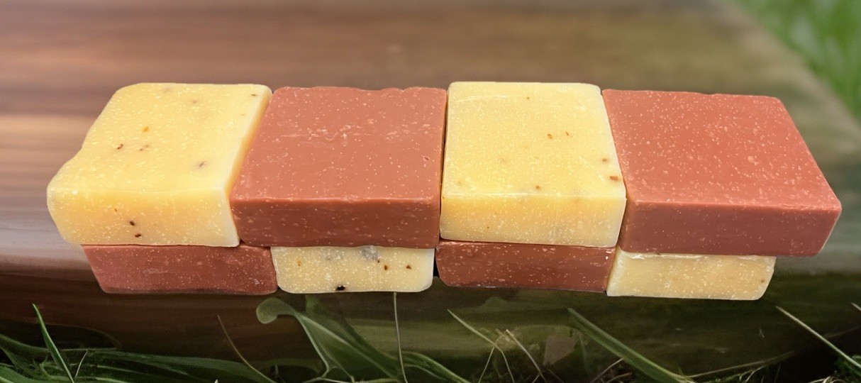 10 Bars Of Dr Squatch Soap Factory Rejects-No Box 5 Gold Moss* 5 Spearmint Basil