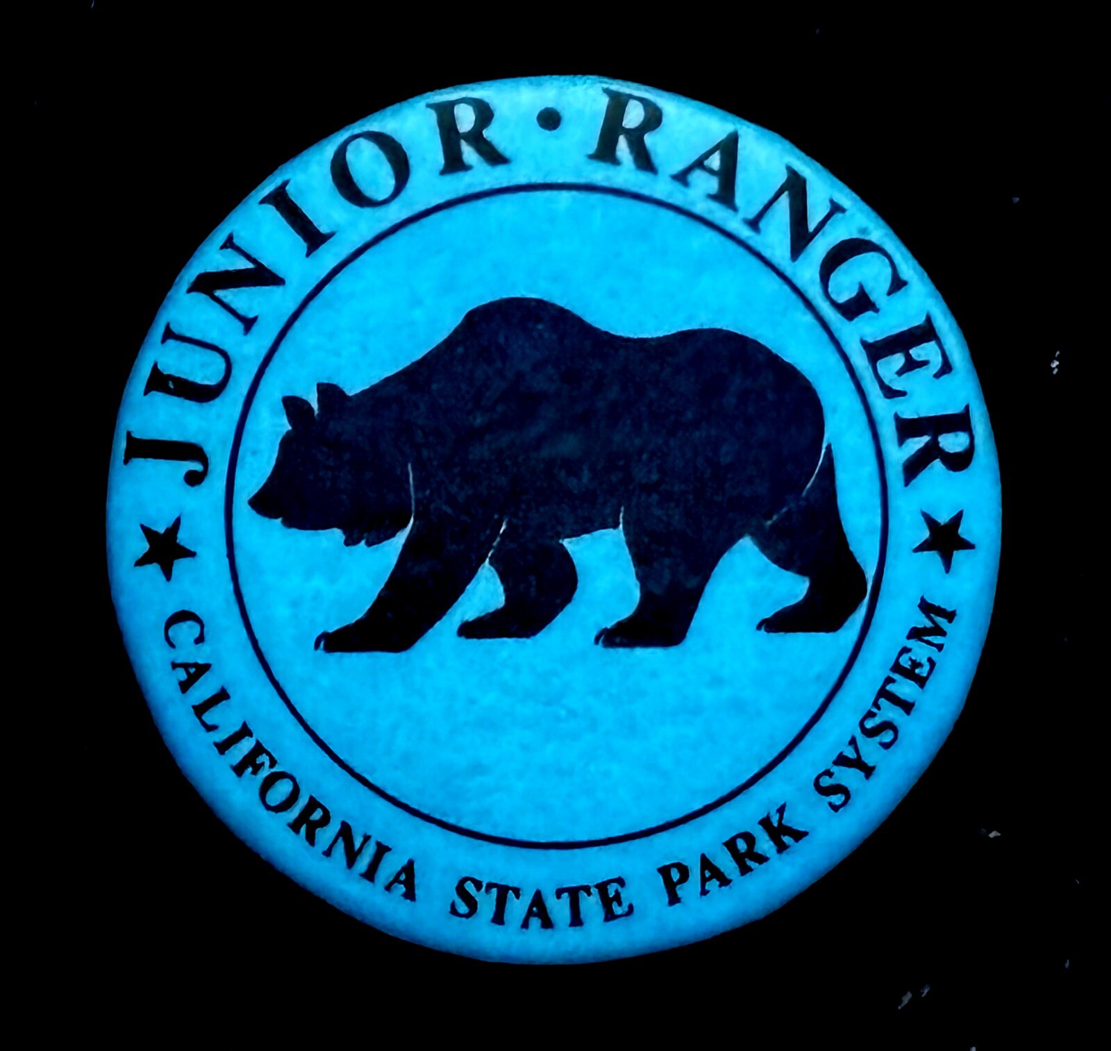 California State Parks - Junior Ranger button 1" PIN - Grizzly Bear