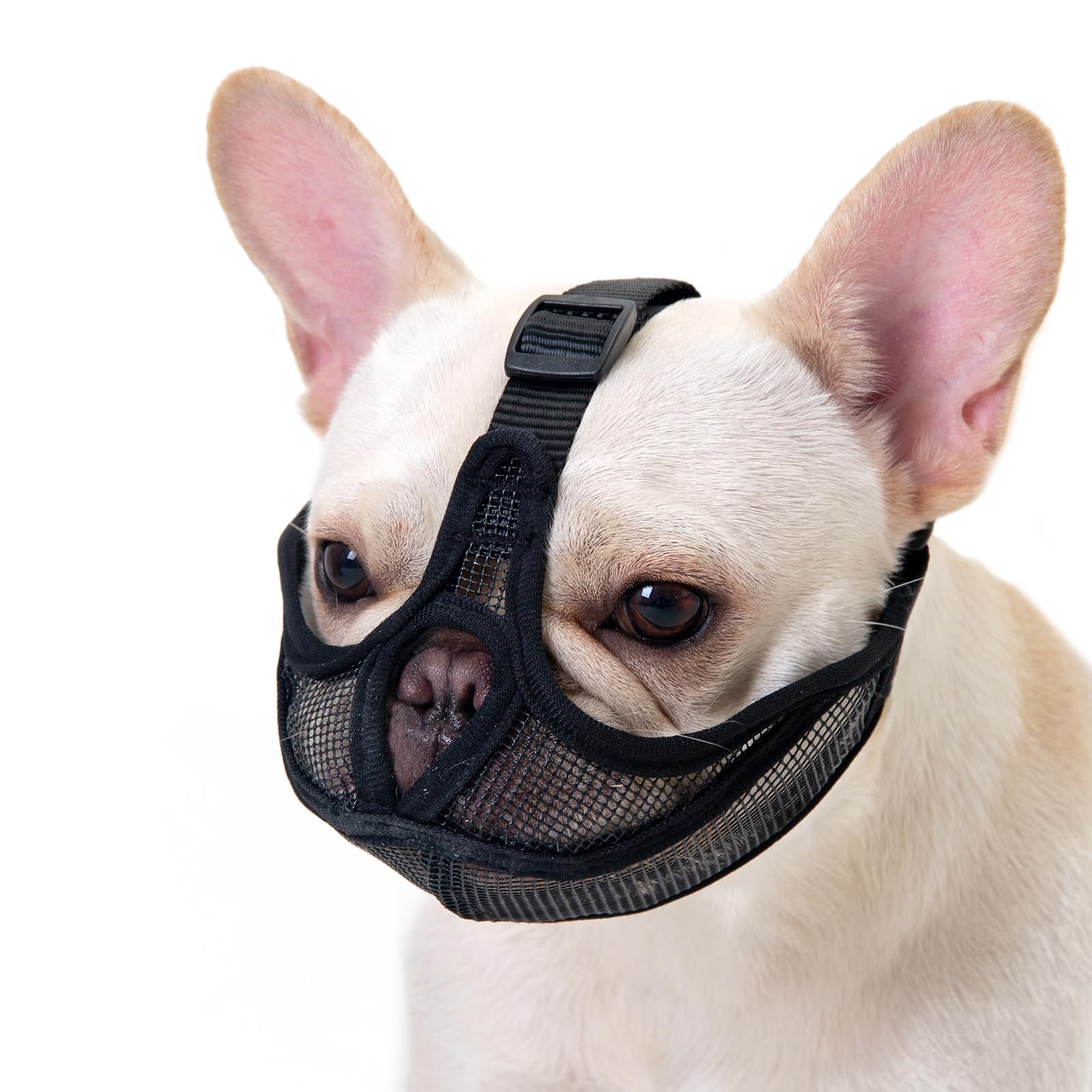 Herrypiggy Short Snout Dog Muzzle with Soft Mesh, Breathable Won’t M, Black