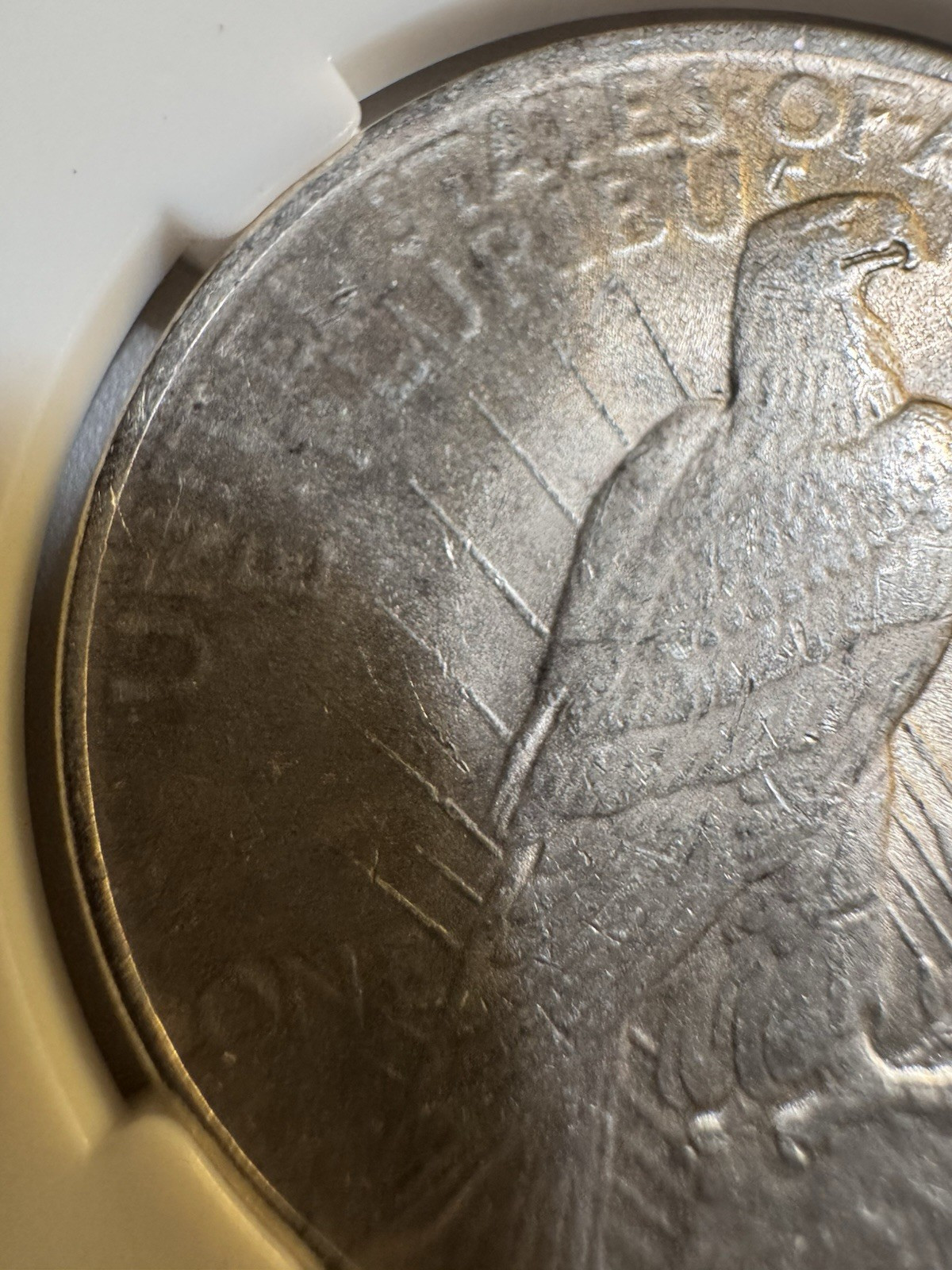 1924‑P Peace Dollar MS62–MS64 Range • Bright Luster • 26.702g