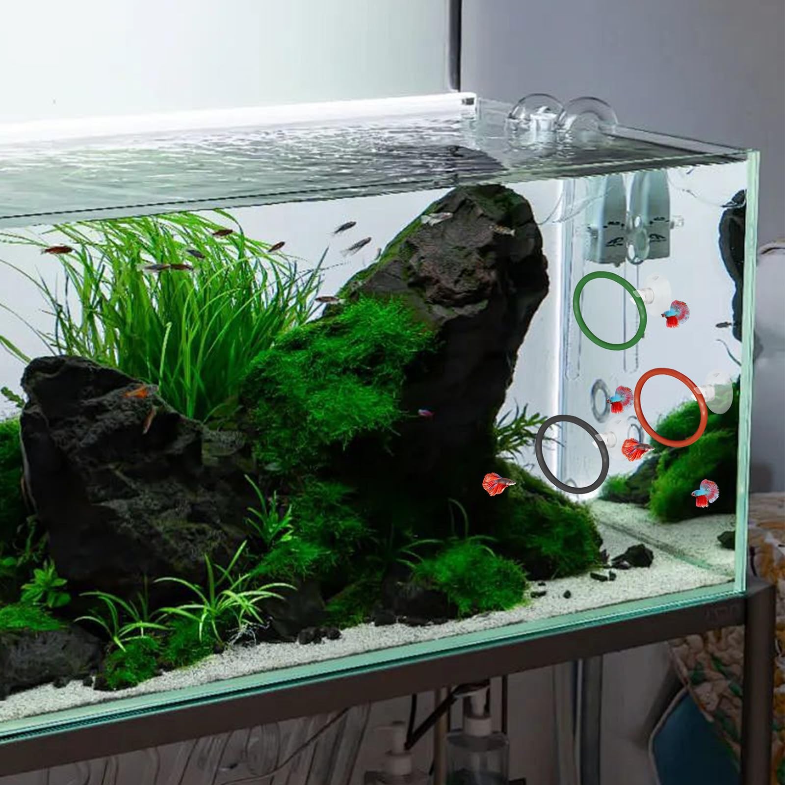4 Pcs Upgraded Betta Fish Exercise Ring for Aquarium, Soft Silicone Training ...
