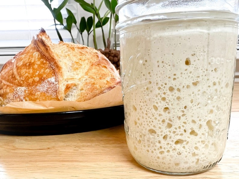 SOURDOUGH STARTER  Flakes FREE SHIPPING