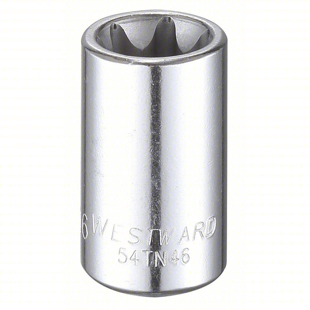 Westward Socket External Torx 3/8 Drive E16 54TN46A Tool Socket 10PK