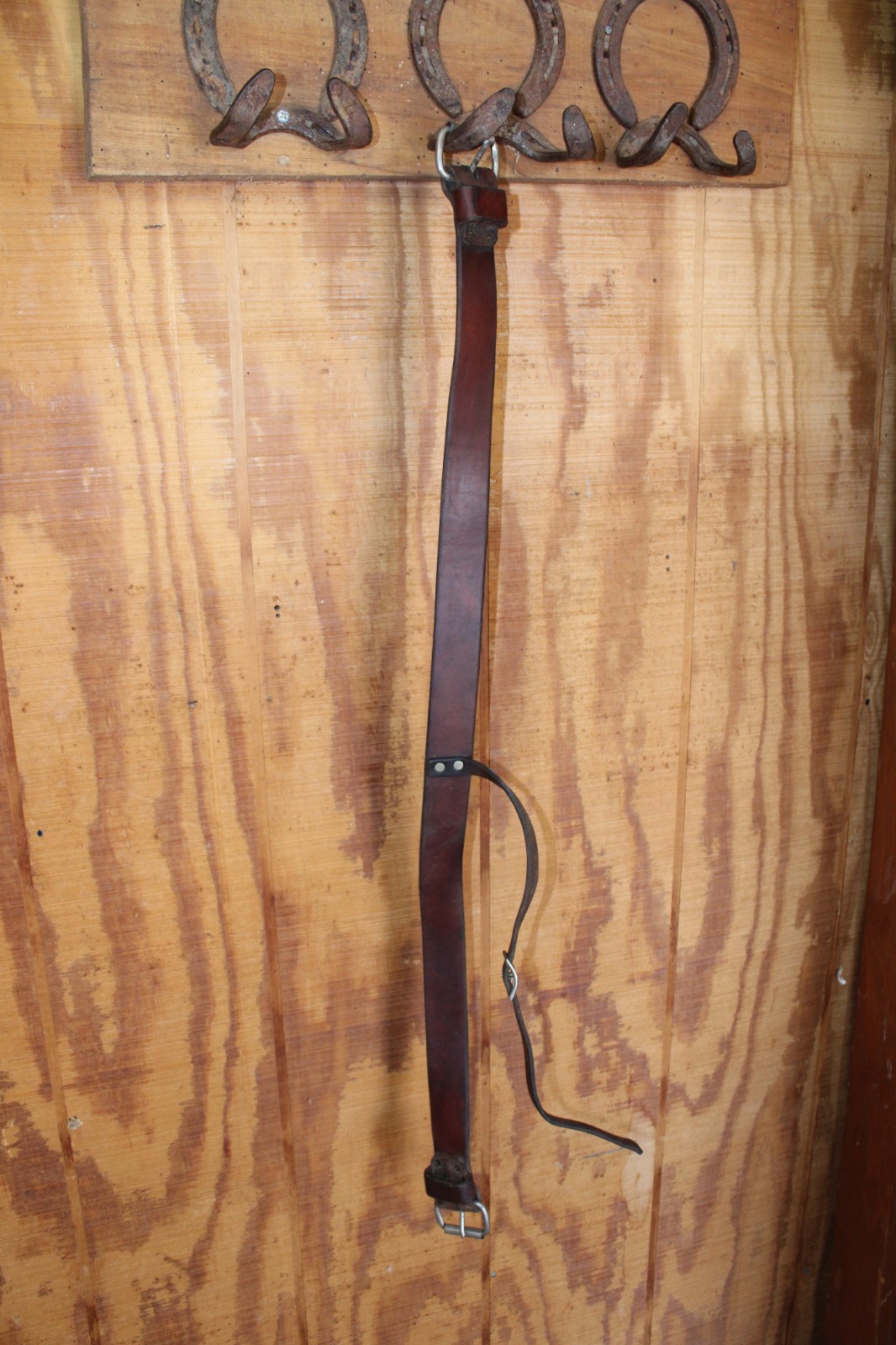 Rear Cinch With Connector Strap