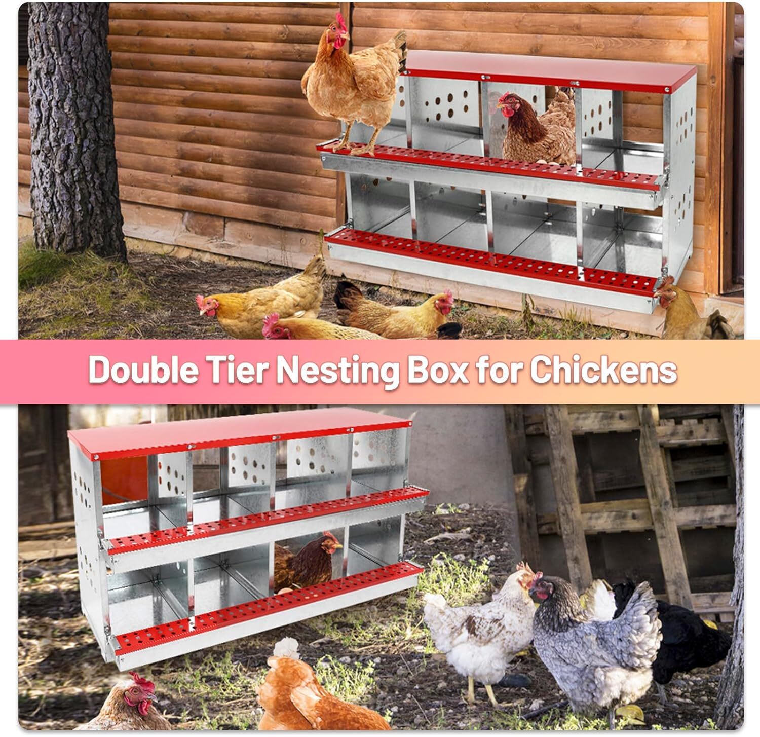 8 Hole Chicken Nesting Box Hen Laying Boxes Roll Away Nesting Box for Laying Egg