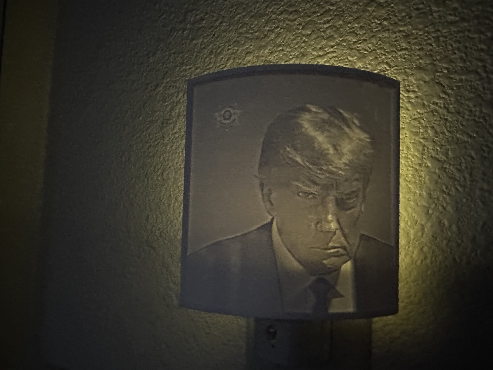 President Trump Mugshot Nitelite