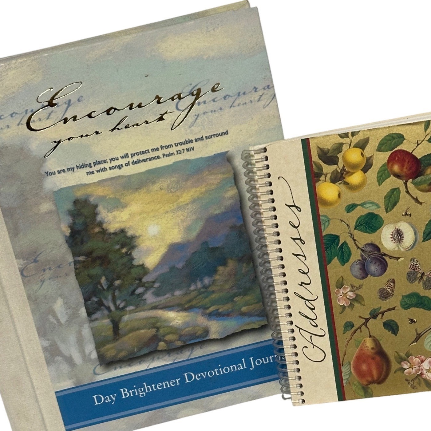 DaySpring Devotional Journal & Address Book Set Blue Botanical Excellent 2pc