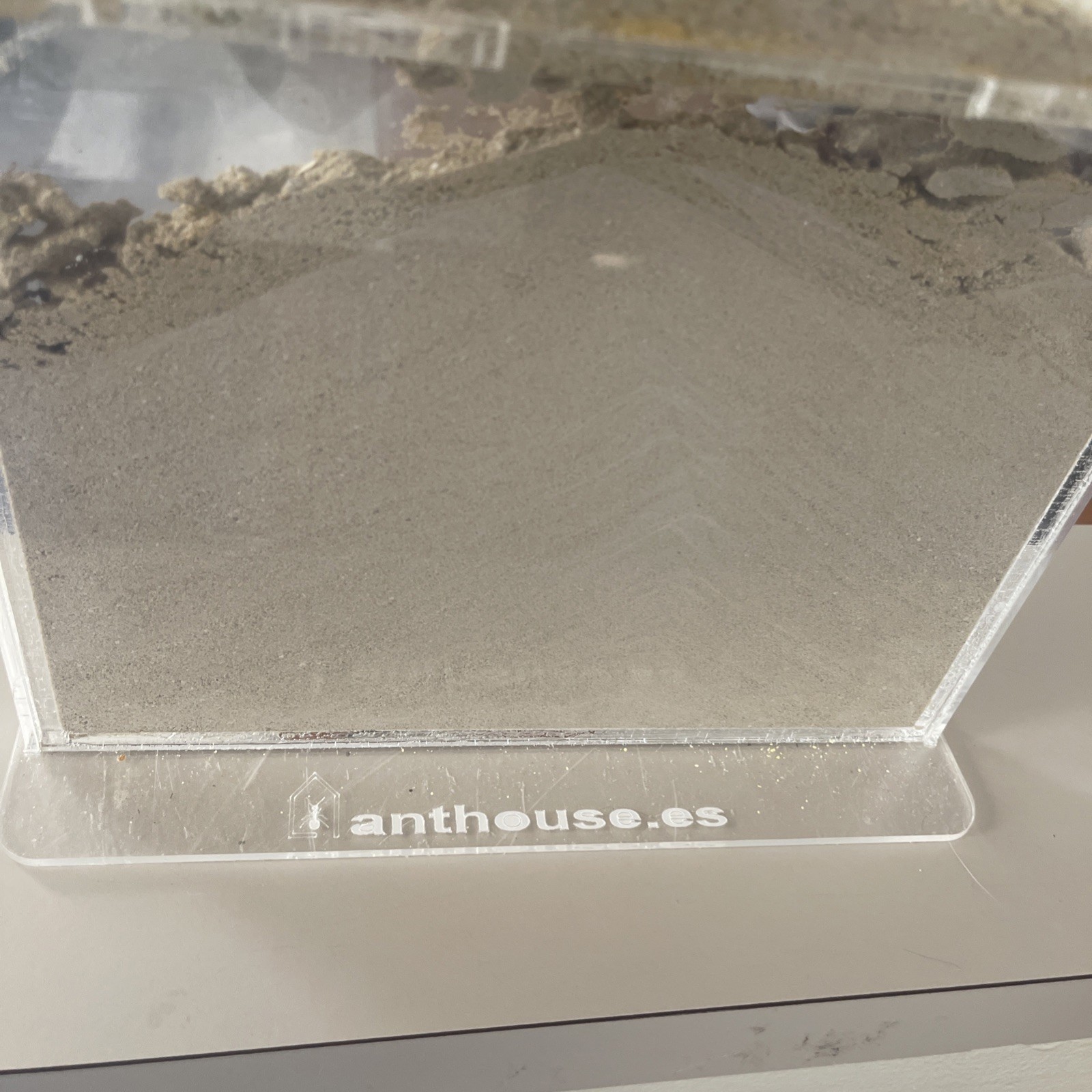 Ant House