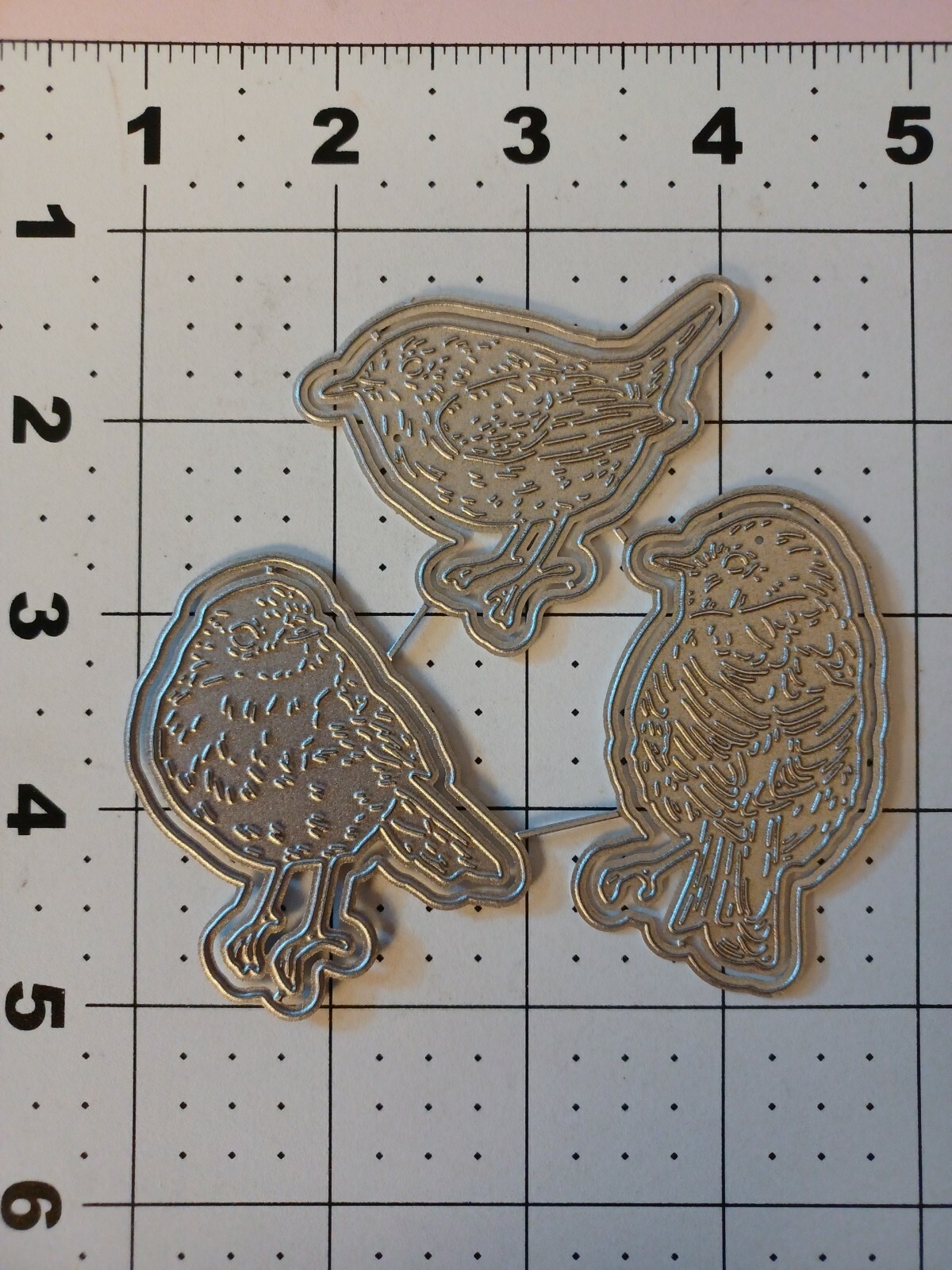 Universal Thin Metal Die Cut Tool Pet Wild Bird Nutting Wren Robin Spring Renew