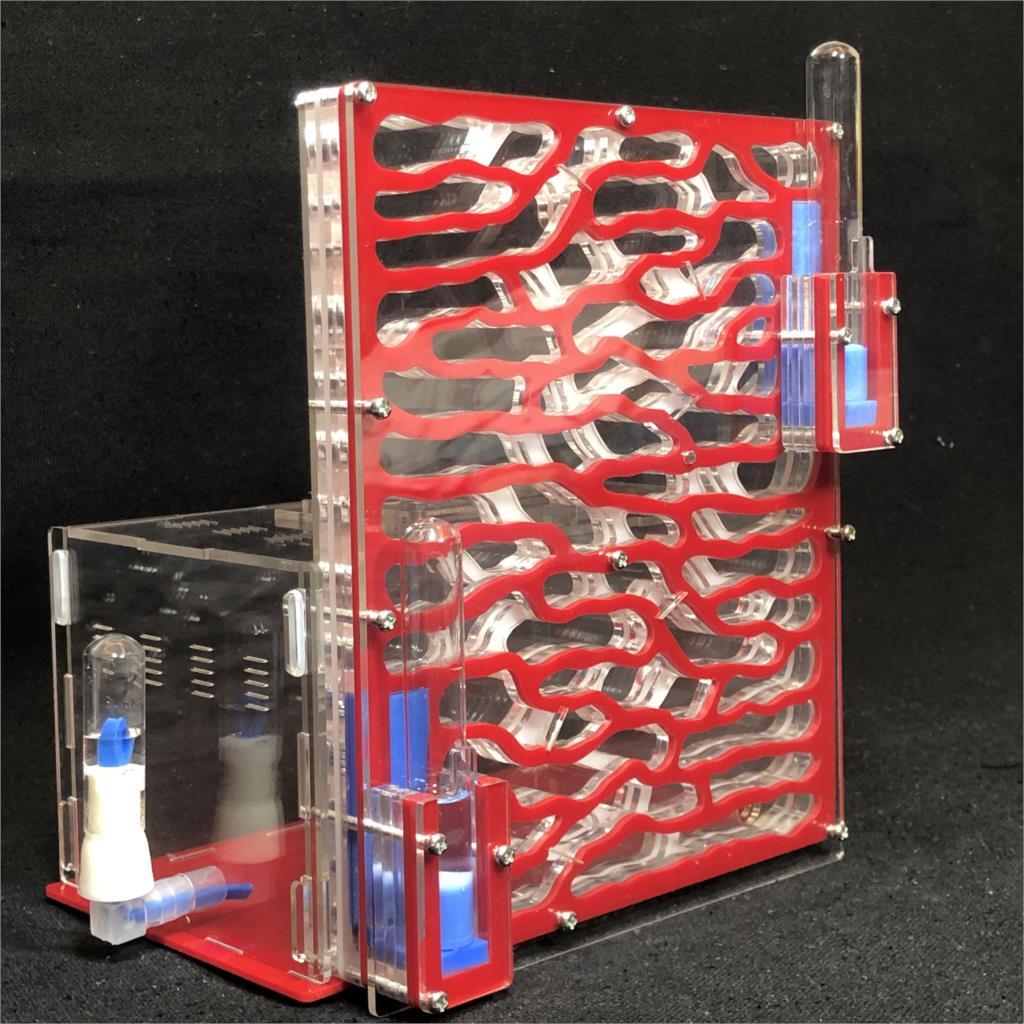Large Acrylic Ants Farm With Feeding Area Ant House Nest Villa Insect Anthill