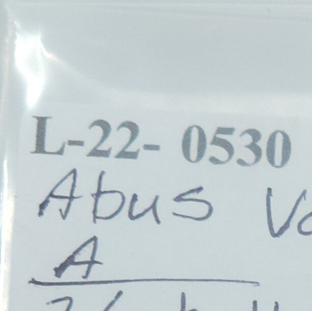 V: Abus Brass Padlock No 55/40 2" & 1 1/2" shackles with working keys, Locksmith