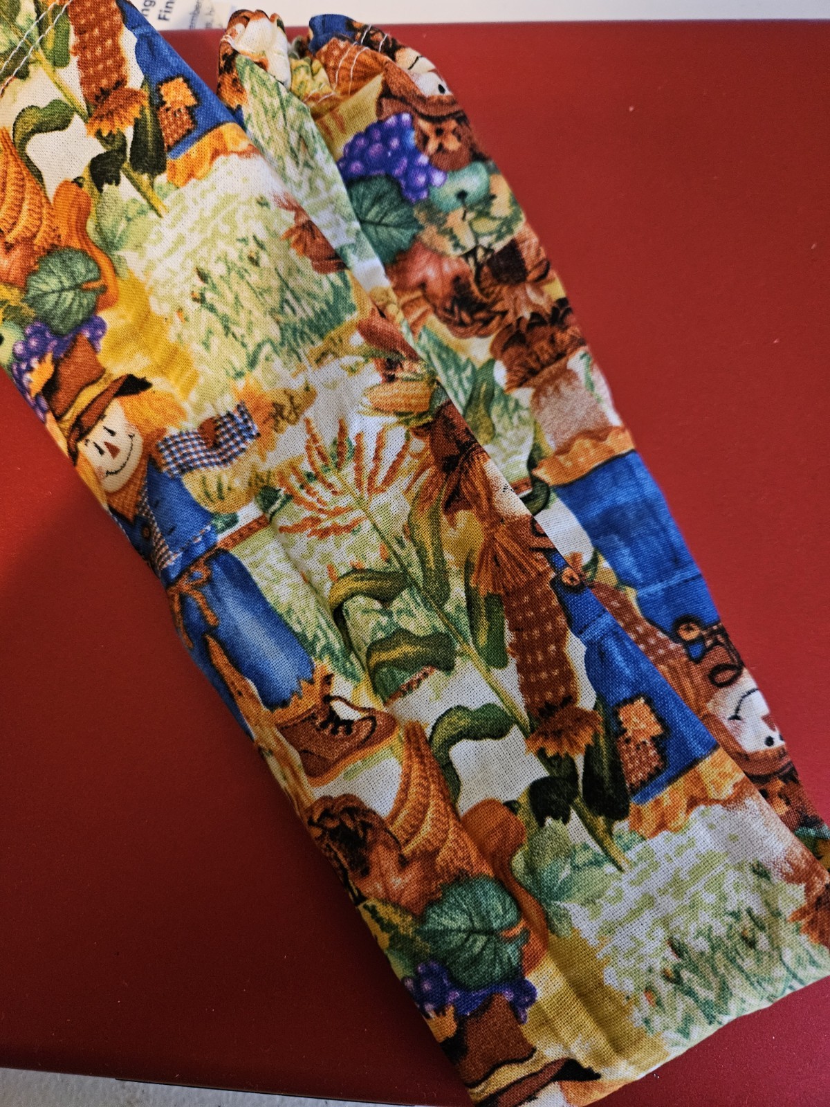 Fall With Scarecrow Stethoscope Cover