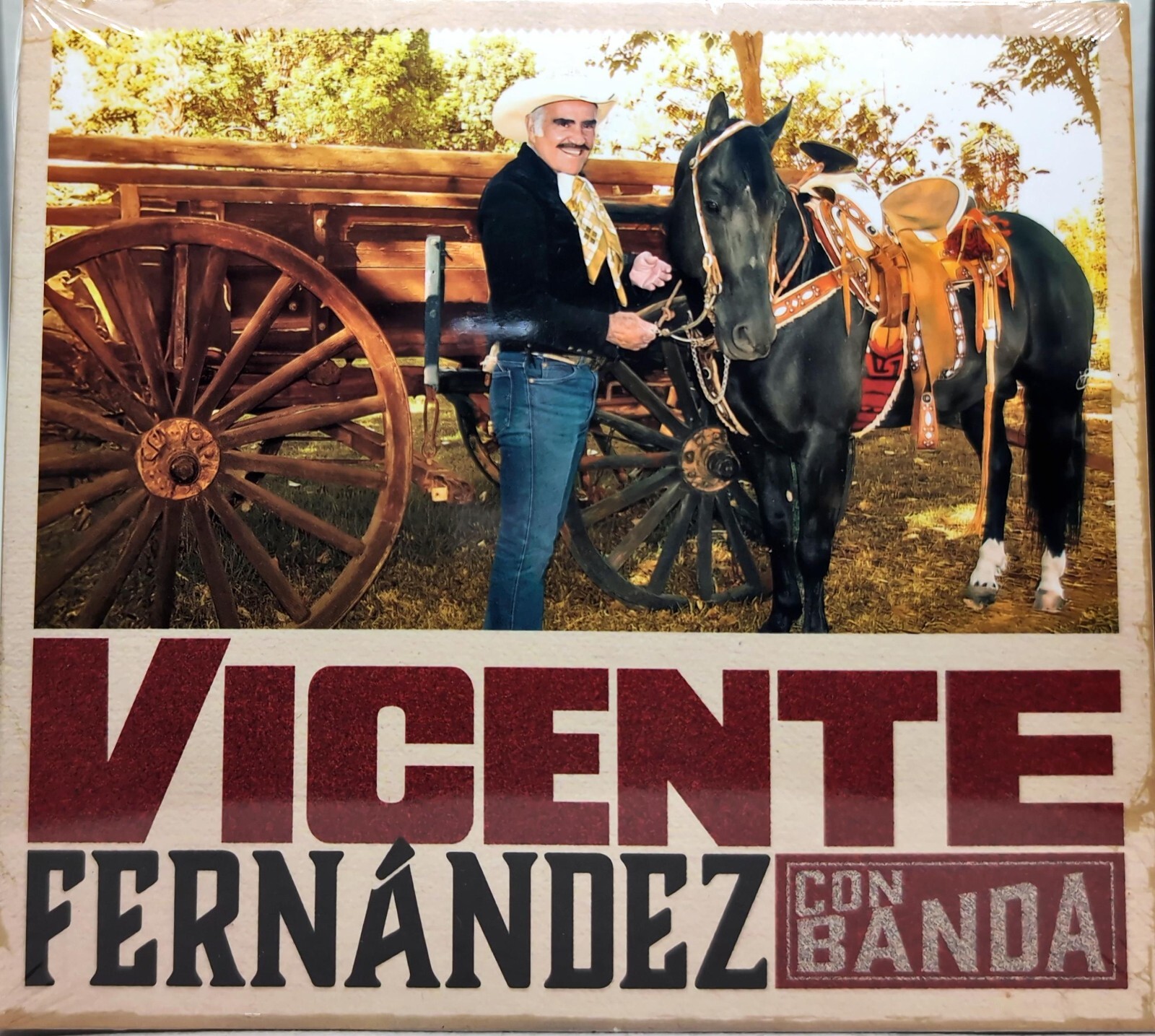 Vicente Fernández – Vicente Fernández Con Banda (2024, CD)