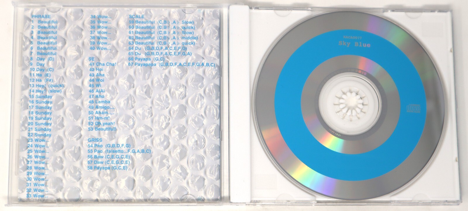 Kaeru Cafe Sky Blue Beautiful Sample Library/Sound Library/Sampling CD 1990s
