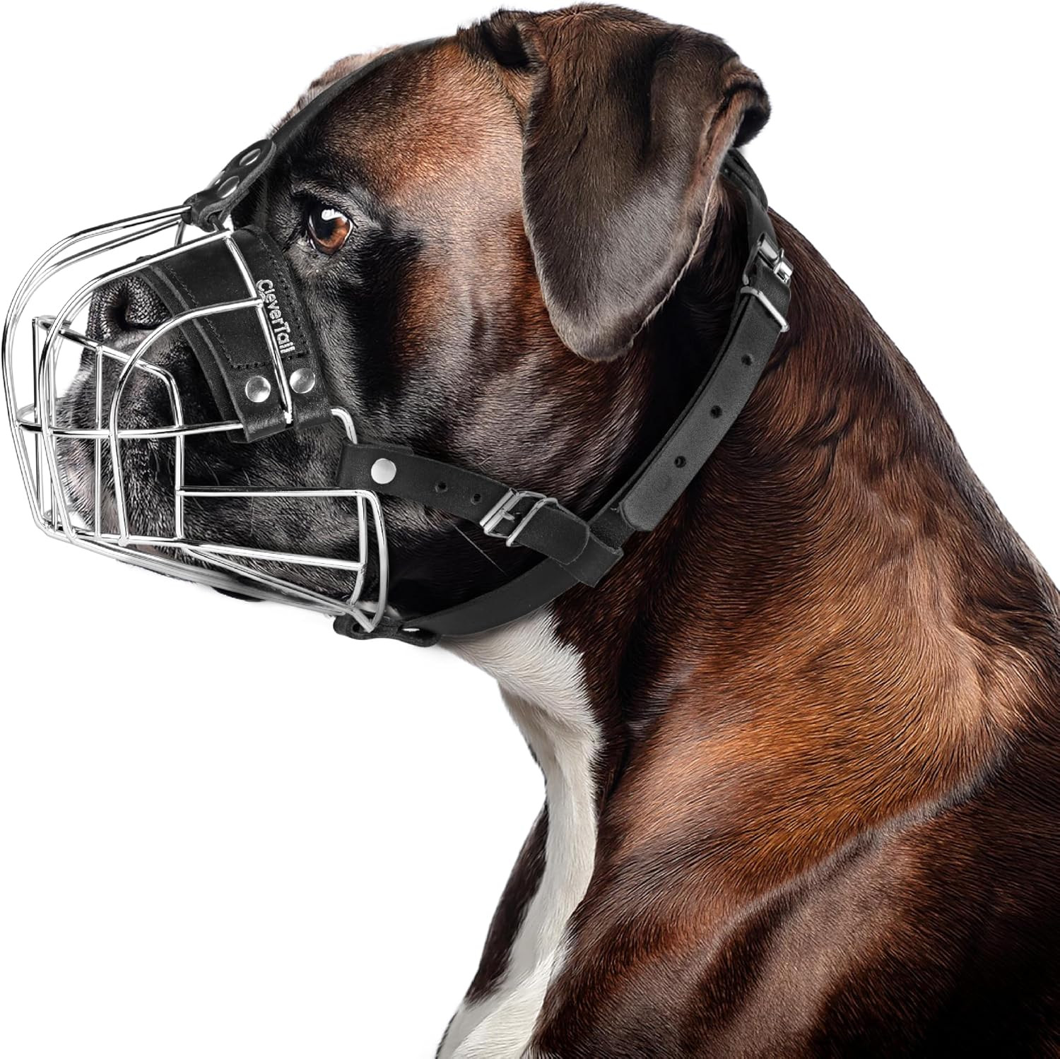 Metal Muzzle for Boxer Dog Breed – Bite Proof Boxer Muzzle for Medium and Large