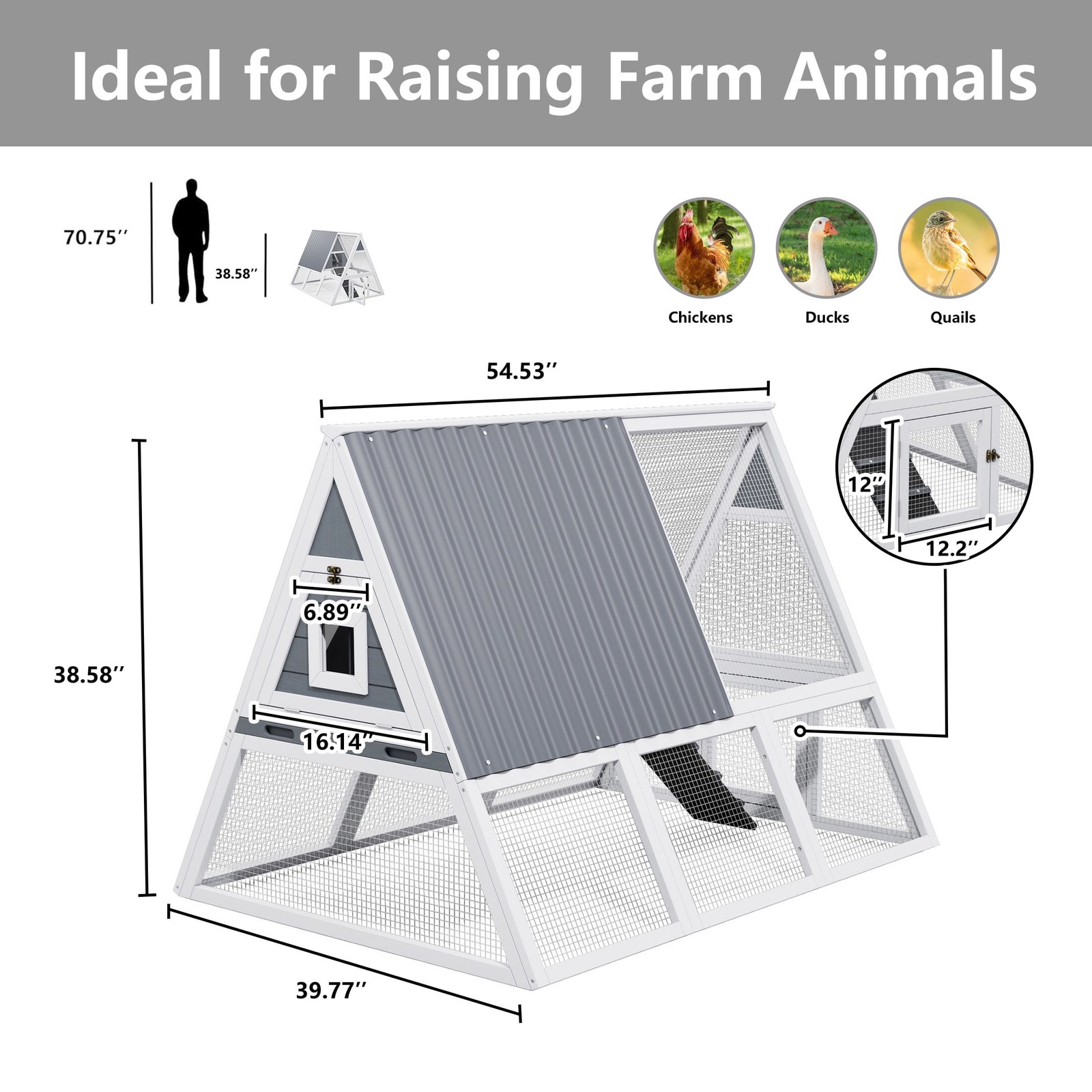 Large Weatherproof Triangular Chicken Coop with Nesting Box & Tray