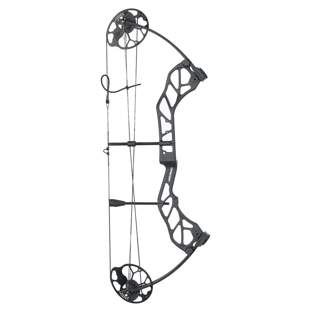 19-70lbs Compound Bow Arrows Kit Hunting Adjustable Archery Hunt Shooting Target