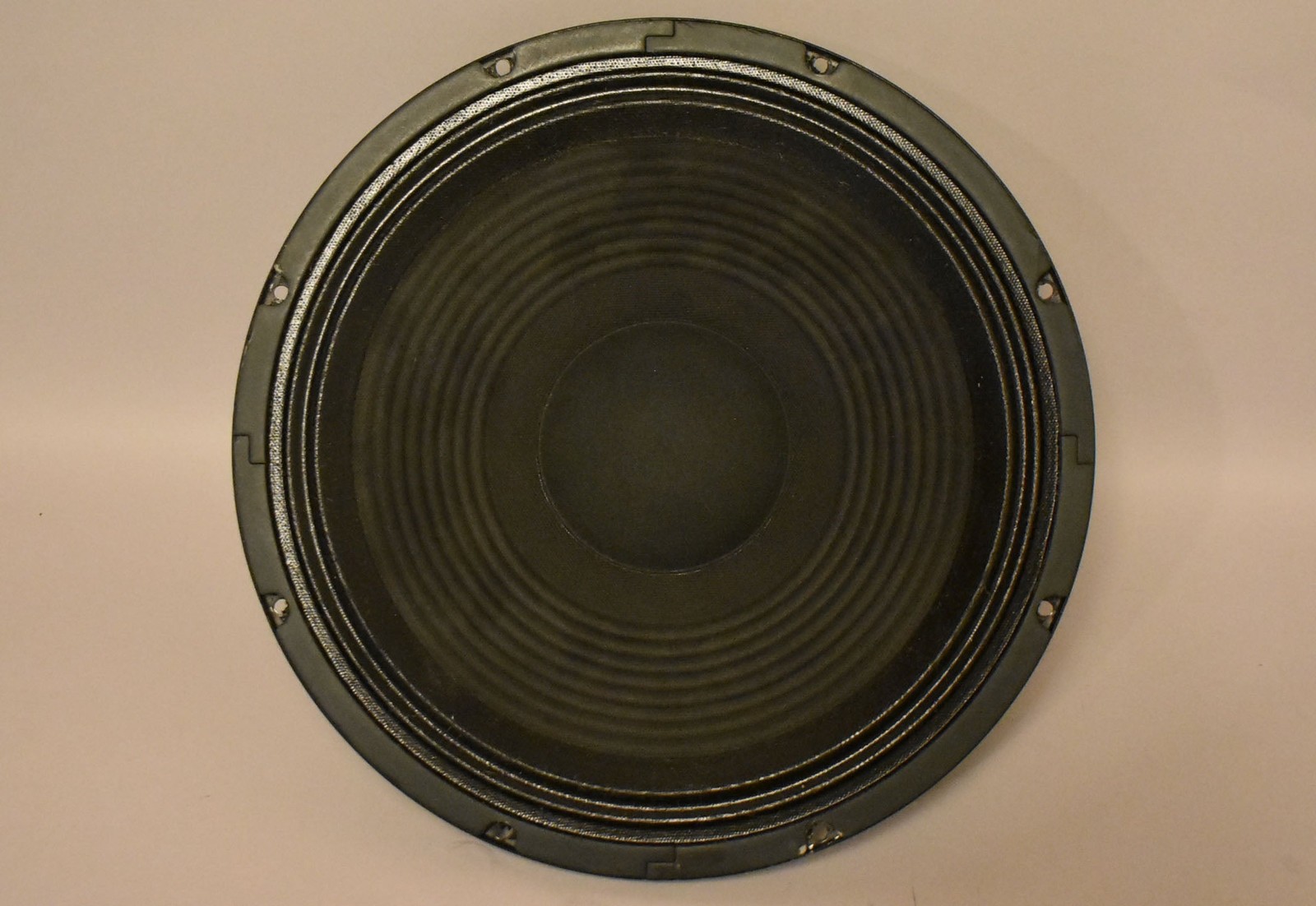 Randall 12" 16 Ohm Replacement Speaker