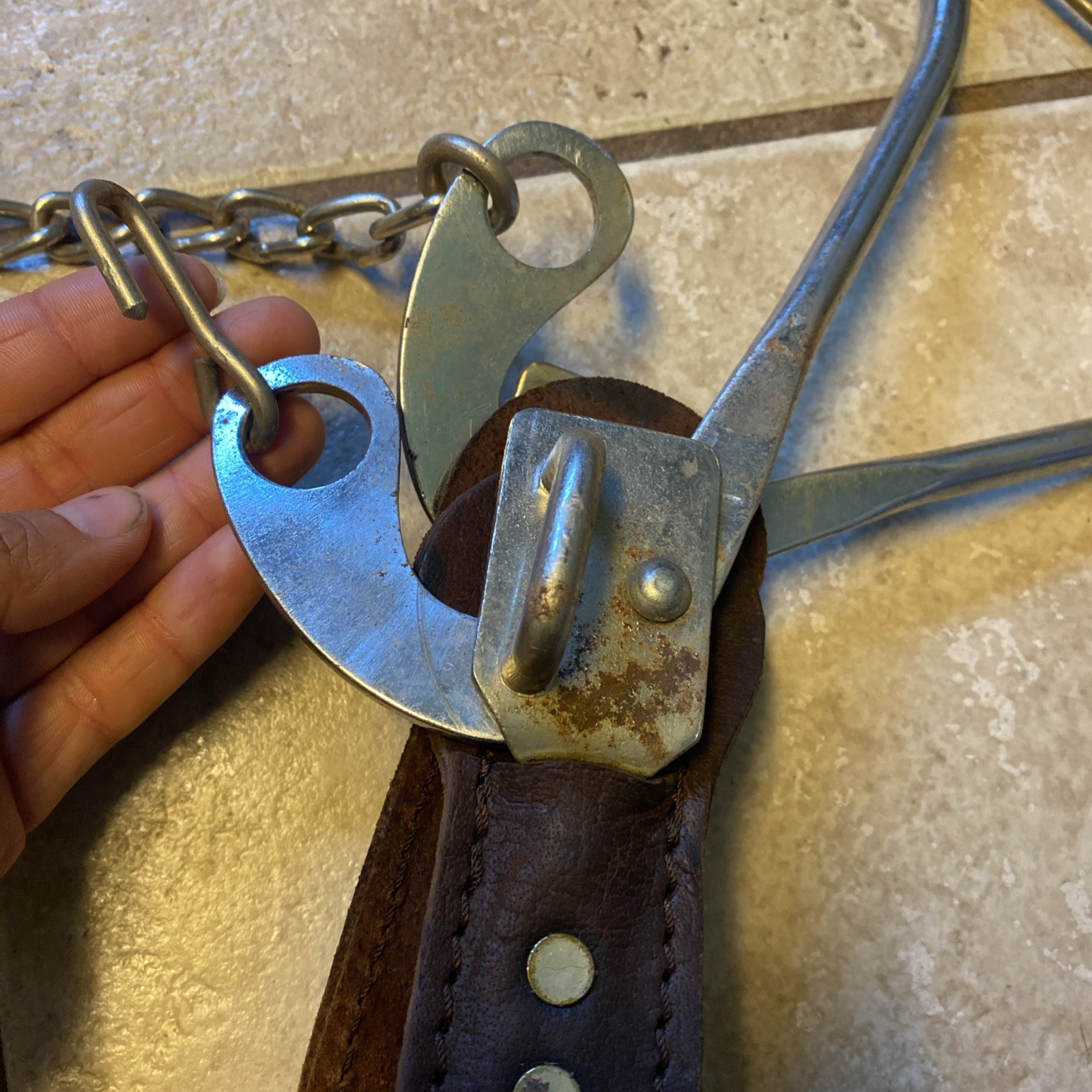 Mechanical Hackamore with 8 inch Shanks and Solid Leather Wrapped Nose Band