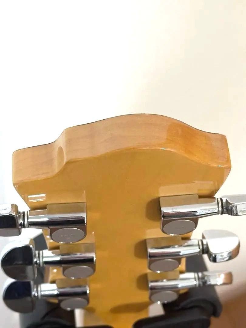 Fernandes Mg-105C Hide Model Crystal Acrylic Guitar