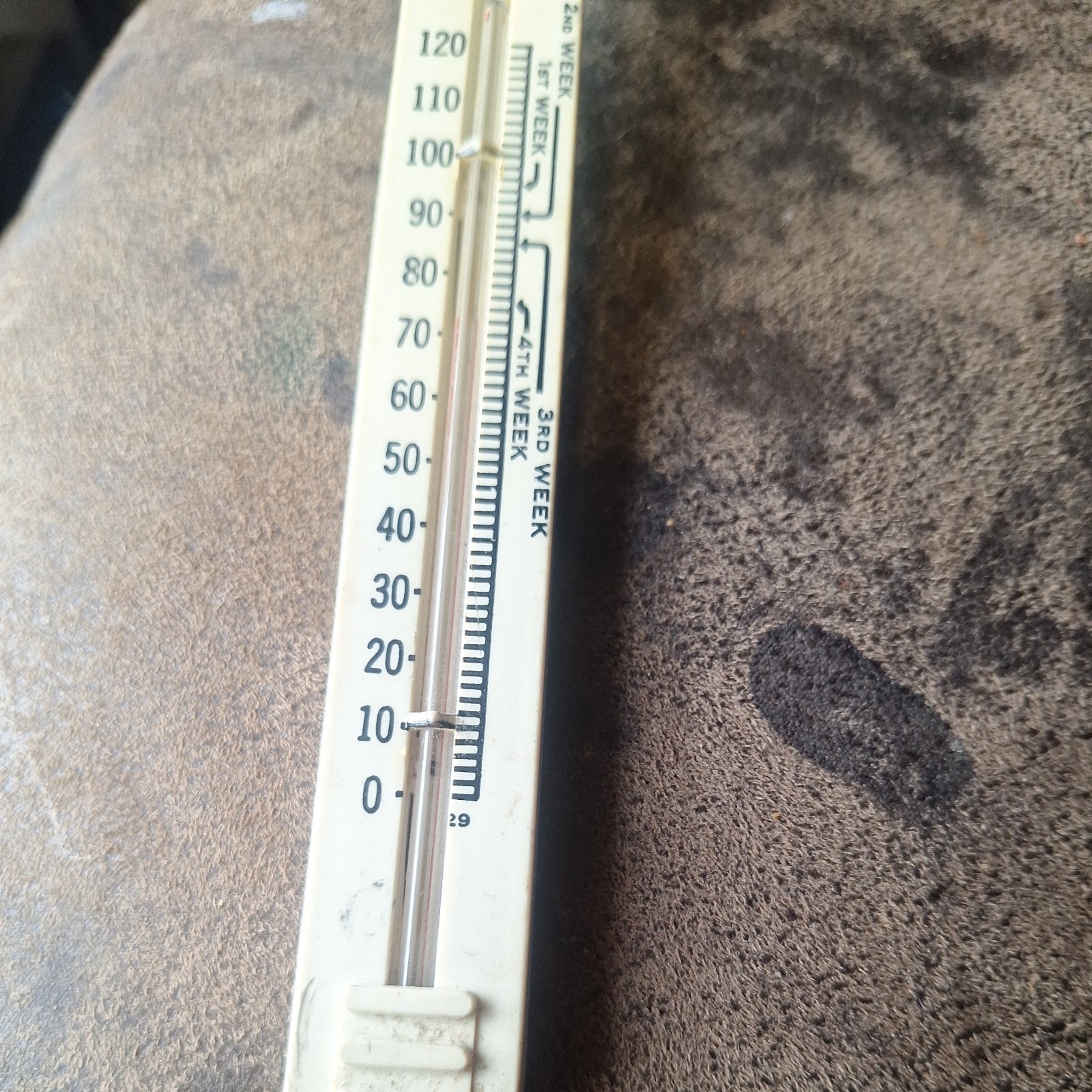Vintage Ajusto Brooder Thermometer MADE IN THE USA #4882