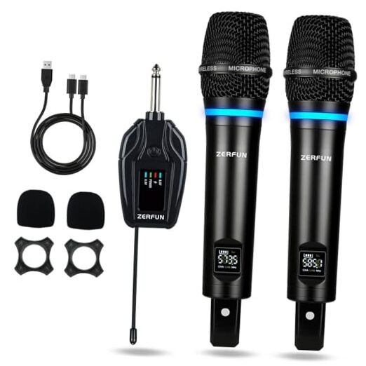 Dual Wireless Microphones Rechargeable, UHF Metal Wireless Mic System WM-2 D