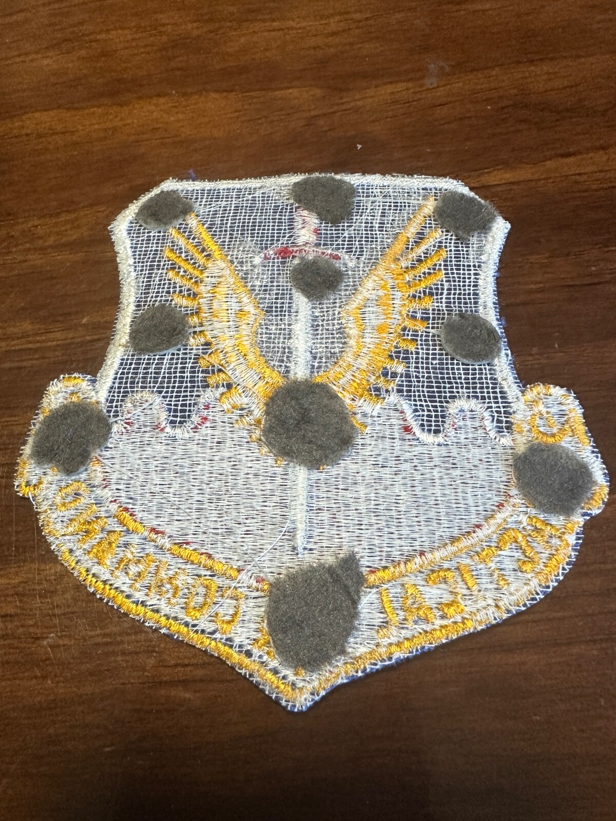 Vintage USAF Tactical Air Command Patch