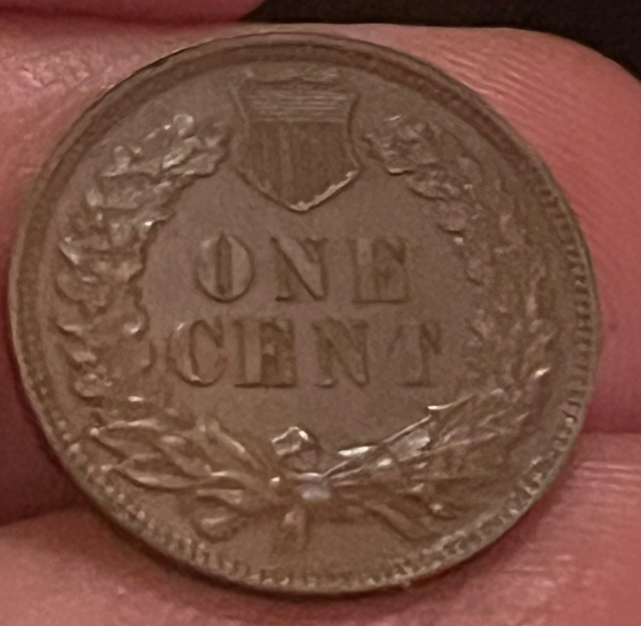1881 Indian head cent, choice About Uncirculated /brown